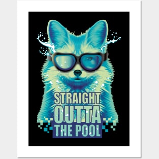 Straight outta the pool fox swimmer jumping into the water Posters and Art